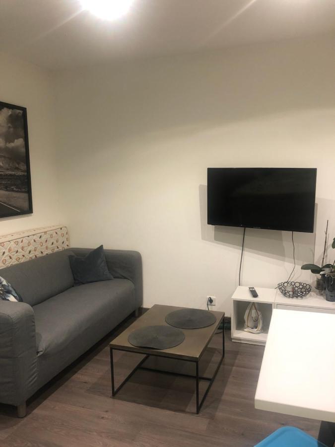 Grand Apartment Meythet